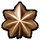 Lieutenant Major Lieutenant Major